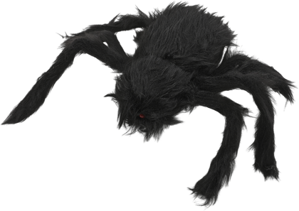 Spindel