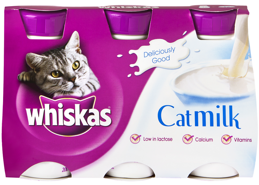 Kattmjölk