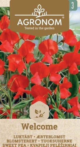 Frö Luktärt Welcome