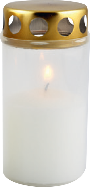 Gravljus