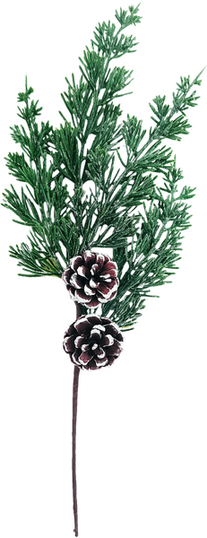 Julkvist