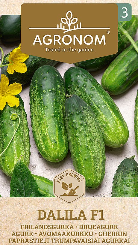 Frö Gurka Dalila F1