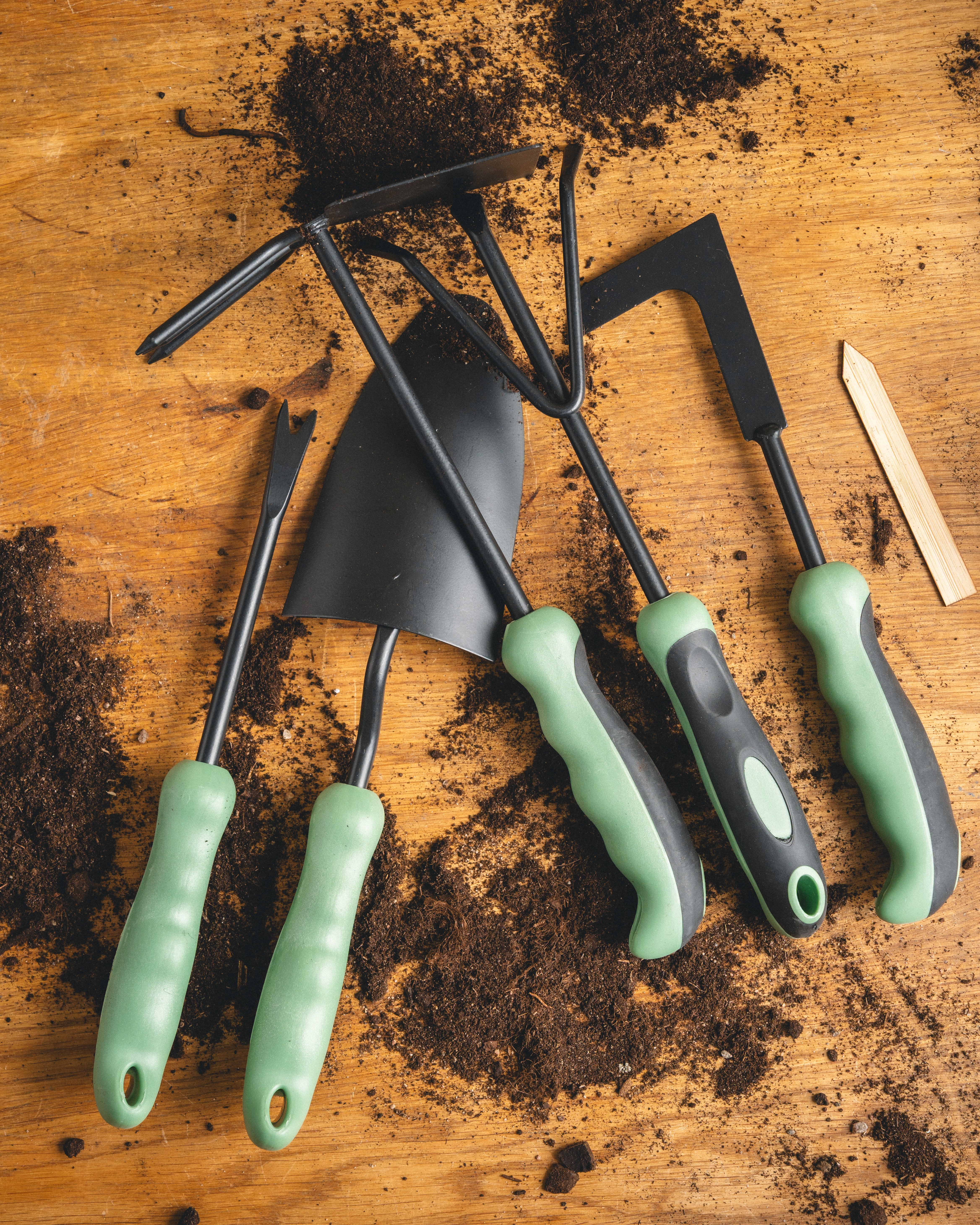 Från fönsterbräda till trädgård