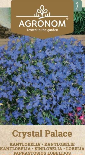 Frö Lobelia Crystal