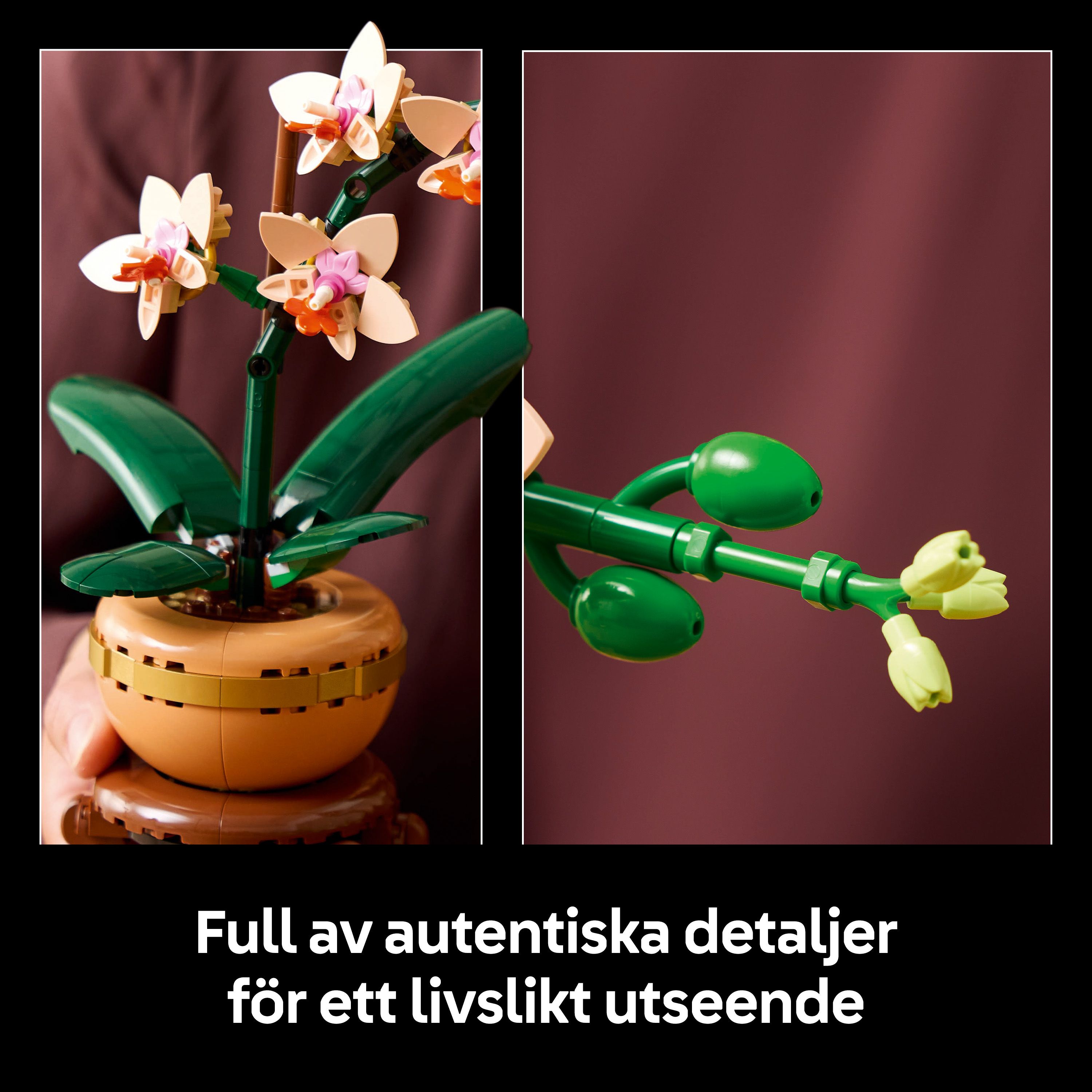 LEGO® Botanicals Miniorkidé