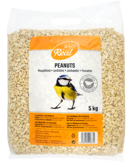 Jordnötter Vildfågel