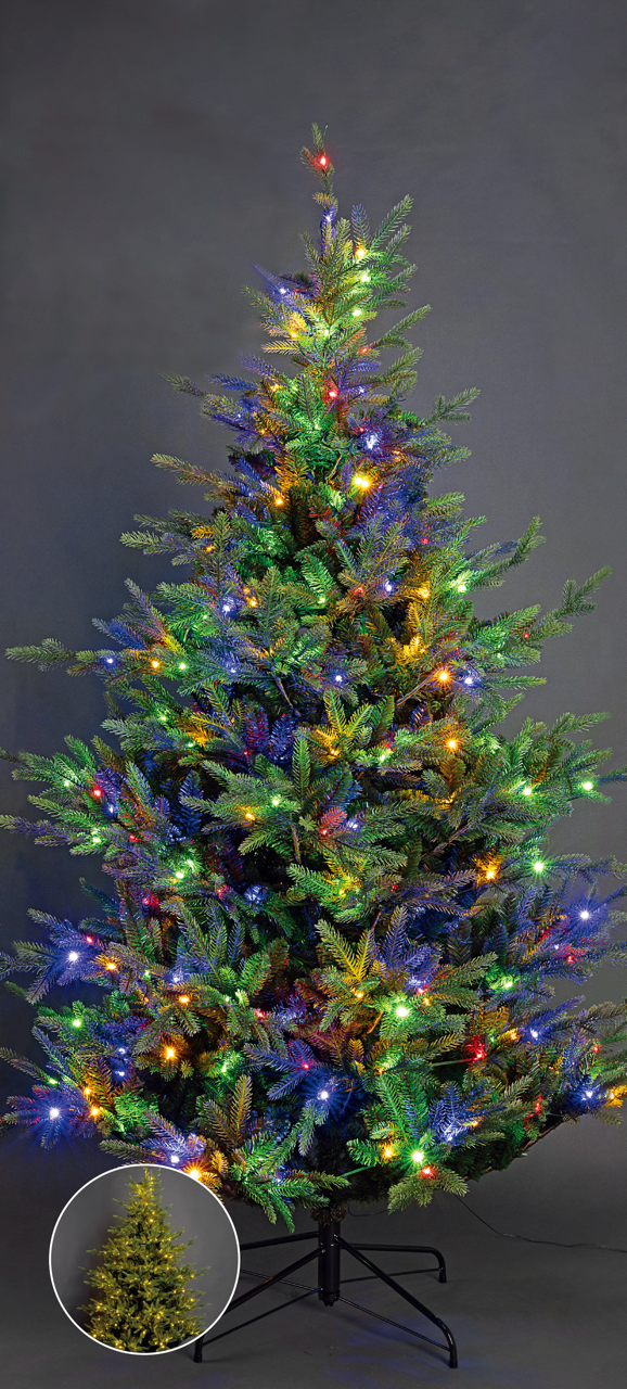 Julgran