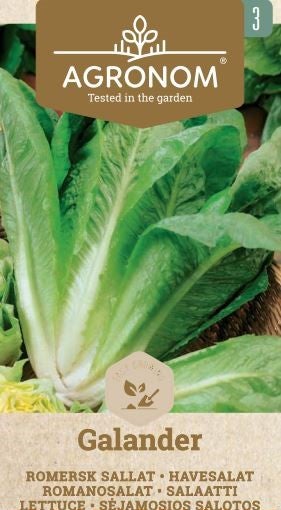 Frö Sallad Galander