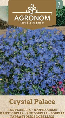 Frö Lobelia Crystal