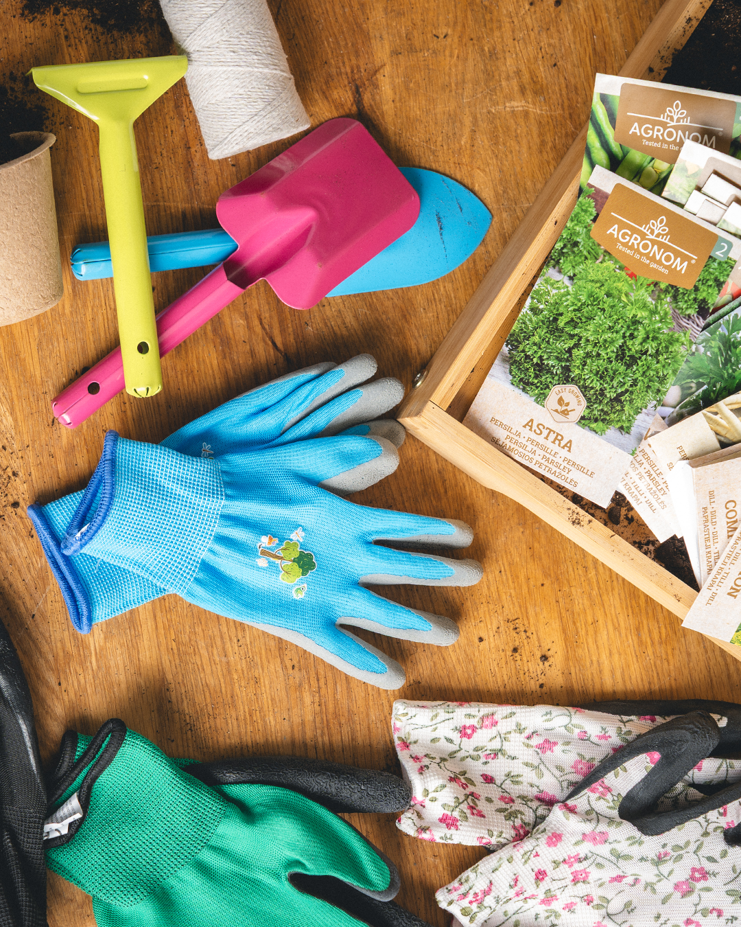 Vad kan du plantera januari till mars?