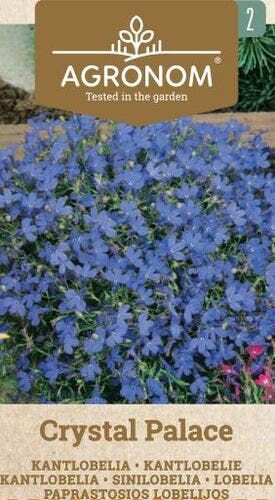 Frö Lobelia Crystal