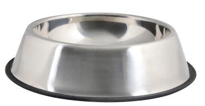 Hundskål