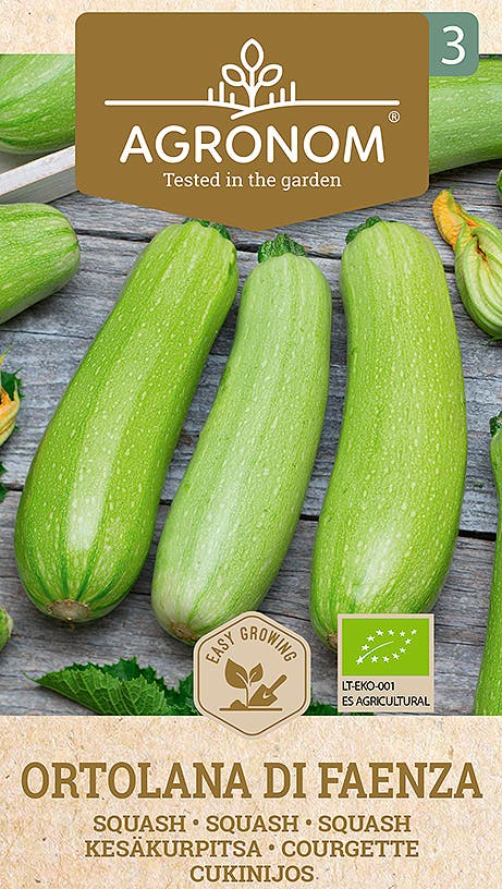Frö Zucchini Di Faenza