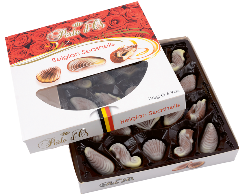 Seashells