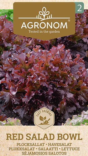 Frö Sallad Red
