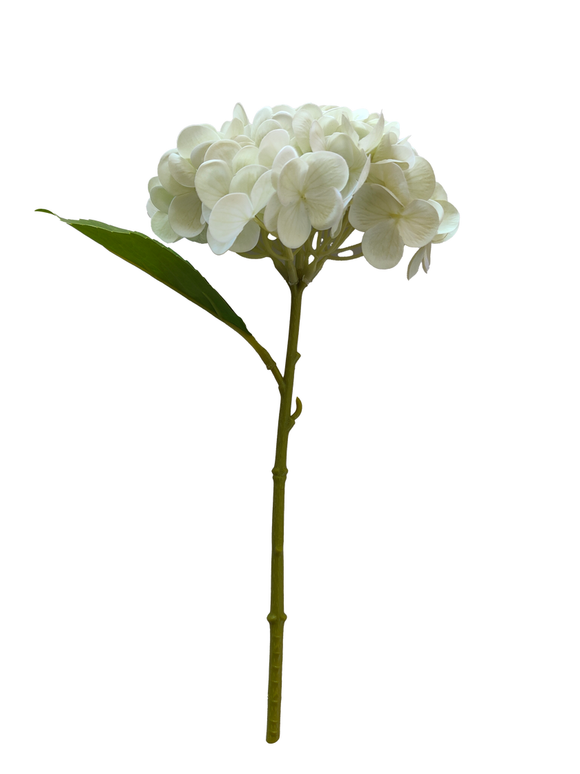 Konstväxt Hortensia