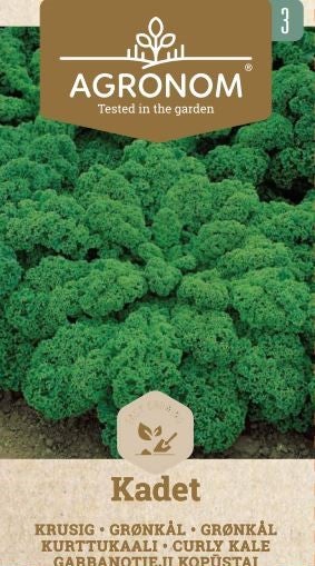 Frö Grönkål Kadet