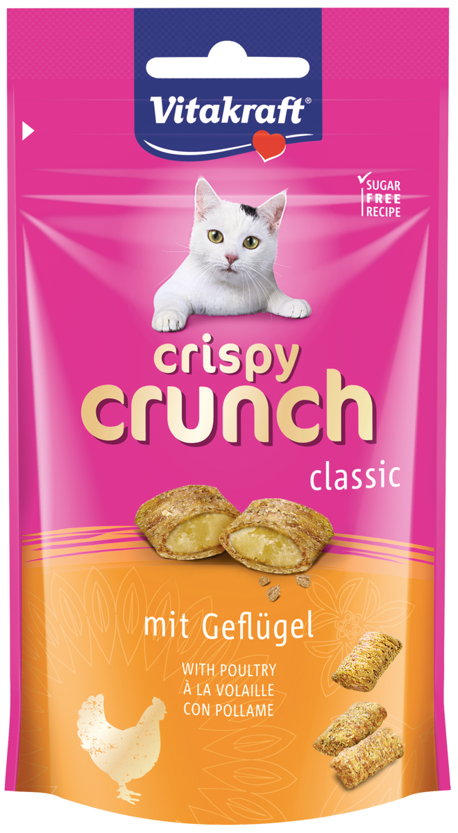 Kattgodis